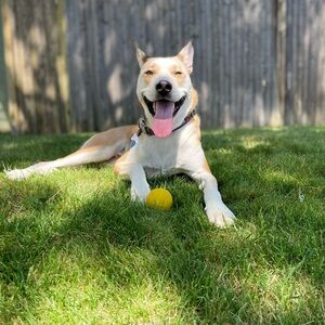 Meet your Posher, Andres